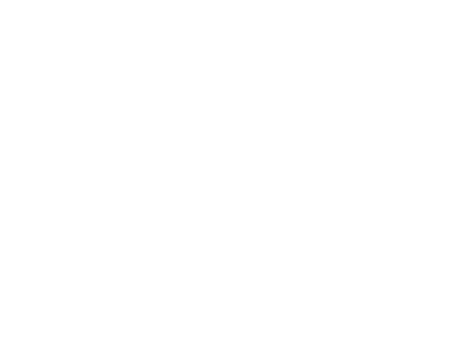 The Disco Fries